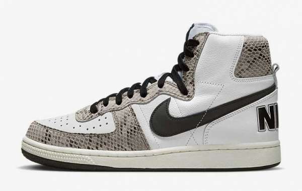 Nike Terminator High "Cocoa Snake" FB1318-100 This year Nike will bring this shoe type!
